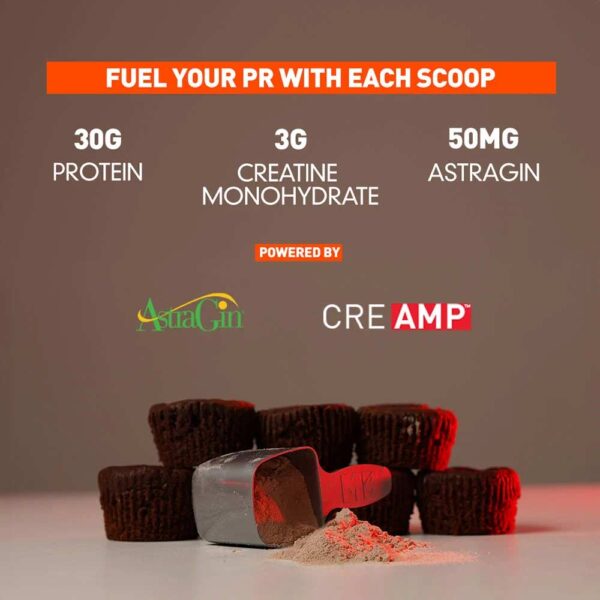MuscleBlaze Biozyme Whey PR, 2 kg, Molten Chocolate Cake - Image 3
